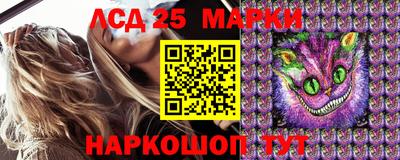 крисы Будённовск
