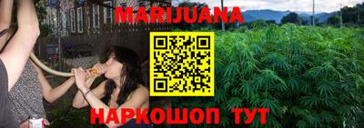 крисы Будённовск