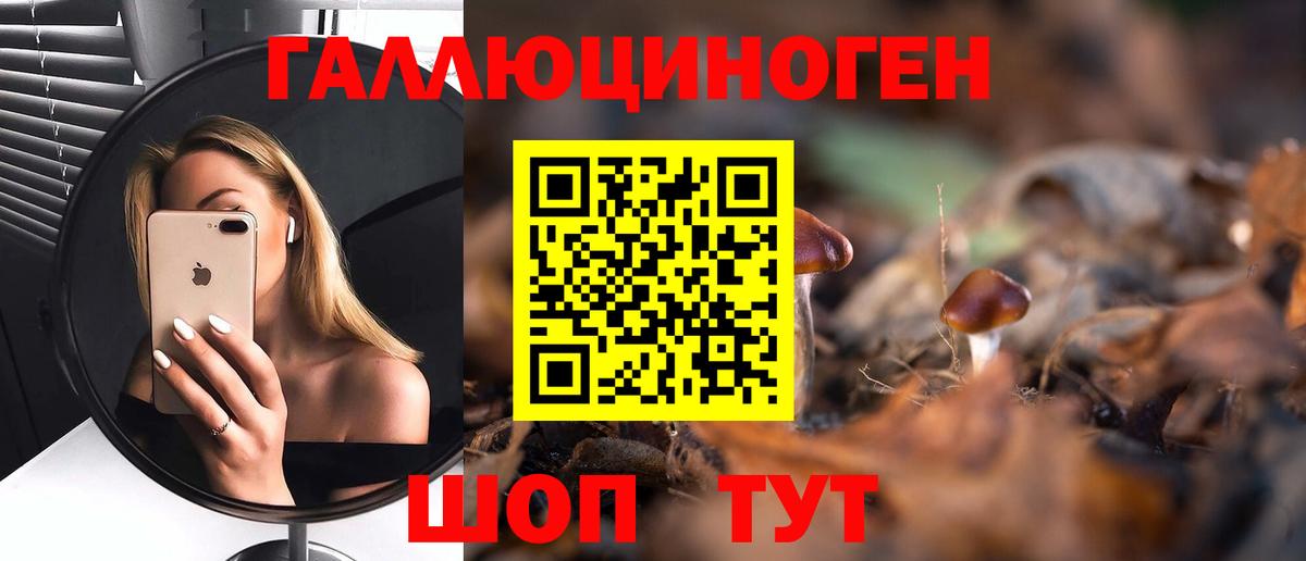 Реж  Галлюциногенные грибы мицелий  Вход с VPN 
